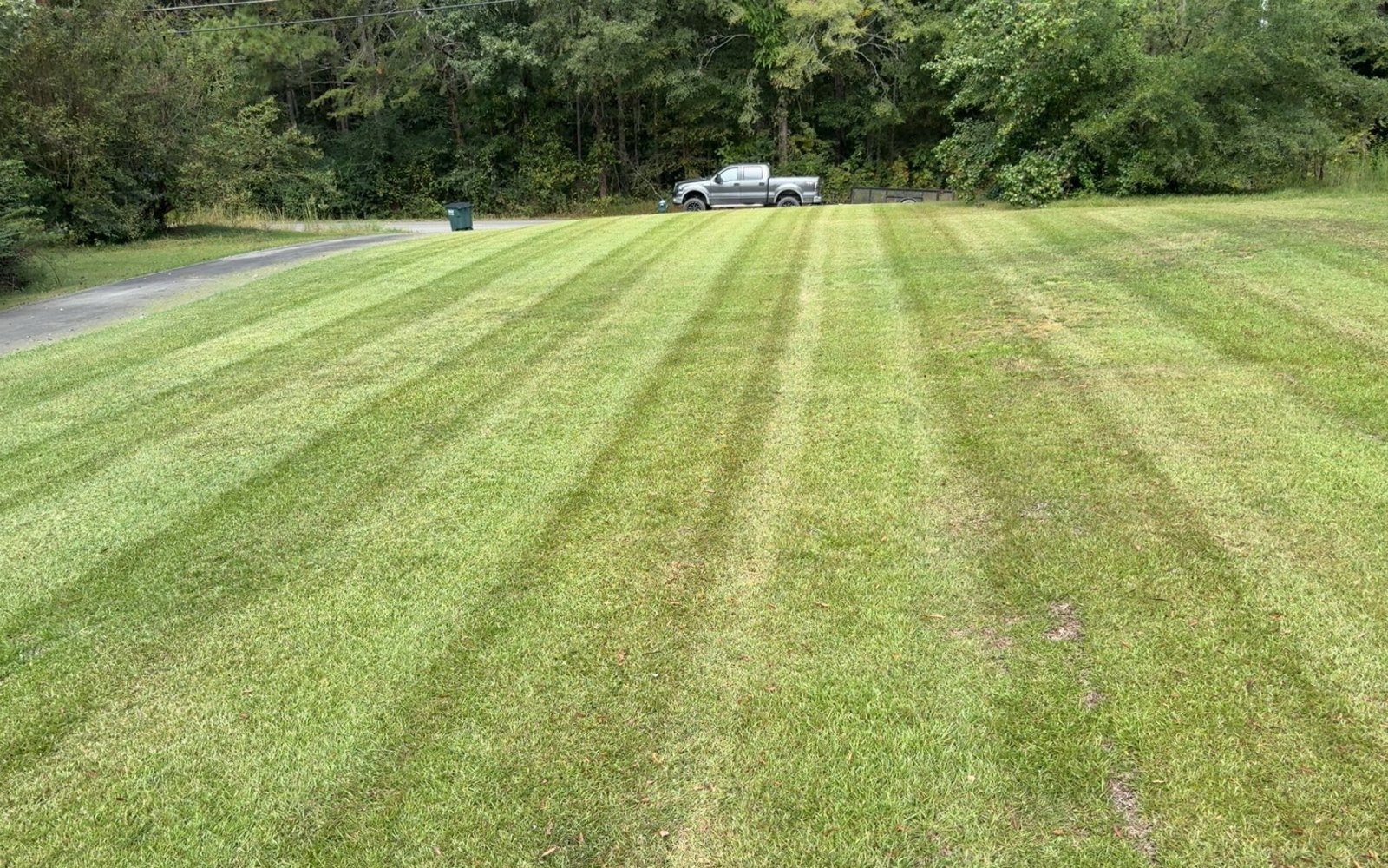 Fresh cut lawn stripes