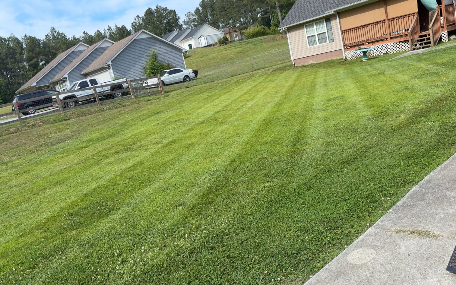 Freshly maintained residential lawn